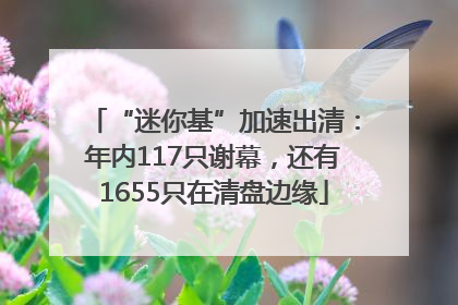 “迷你基”加速出清：年内117只谢幕，还有1655只在清盘边缘