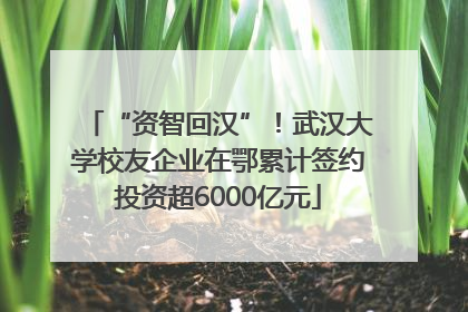 “资智回汉”！武汉大学校友企业在鄂累计签约投资超6000亿元
