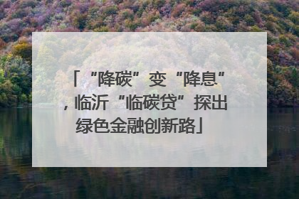 “降碳”变“降息”，临沂“临碳贷”探出绿色金融创新路