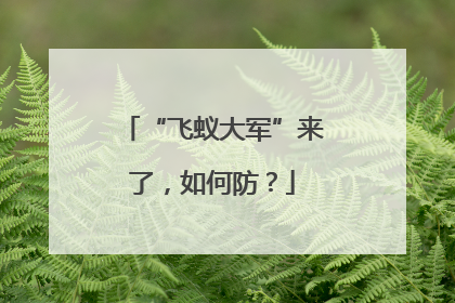 “飞蚁大军”来了，如何防？