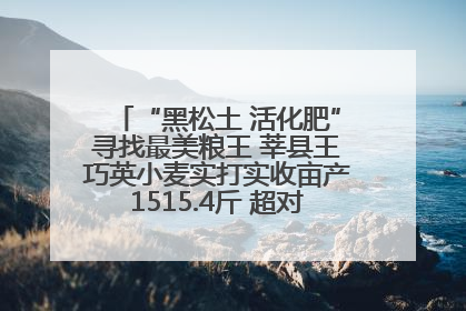 “黑松土 活化肥”寻找最美粮王 莘县王巧英小麦实打实收亩产1515.4斤 超对照田144斤！