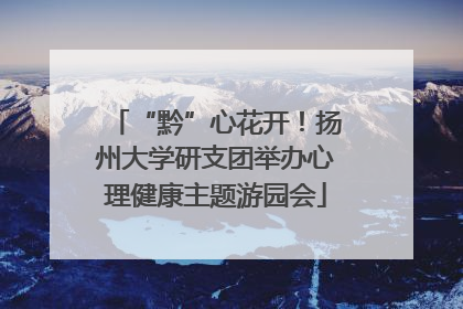 “黔”心花开！扬州大学研支团举办心理健康主题游园会