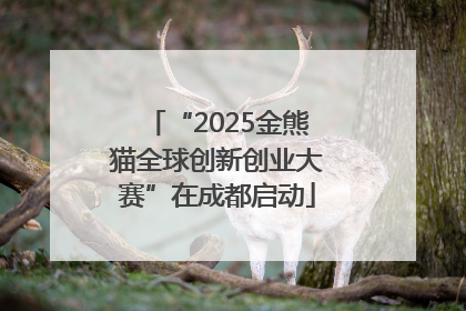 “2025金熊猫全球创新创业大赛”在成都启动