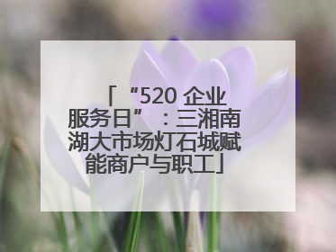 “520 企业服务日”：三湘南湖大市场灯石城赋能商户与职工