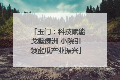 玉门：科技赋能戈壁绿洲 小院引领蜜瓜产业振兴