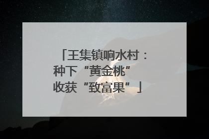 王集镇响水村：种下“黄金桃” 收获“致富果”