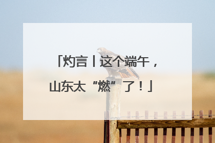 灼言丨这个端午，山东太“燃”了！
