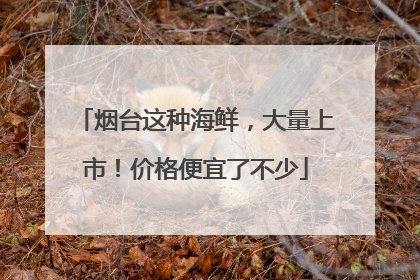 烟台这种海鲜，大量上市！价格便宜了不少