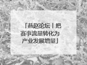 燕赵论坛丨把赛事流量转化为产业发展增量