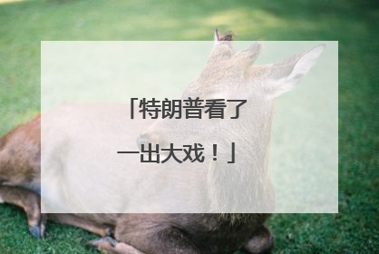 特朗普看了一出大戏！