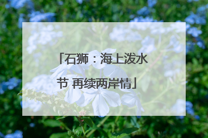 石狮：海上泼水节 再续两岸情