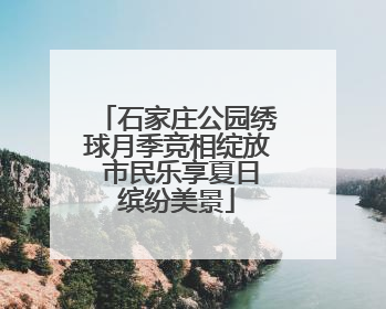 石家庄公园绣球月季竞相绽放 市民乐享夏日缤纷美景