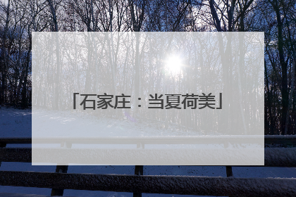 石家庄：当夏荷美