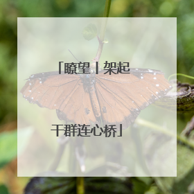 瞭望丨架起干群连心桥