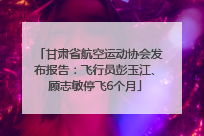 甘肃省航空运动协会发布报告：飞行员彭玉江、顾志敏停飞6个月