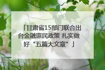 甘肃省15部门联合出台金融惠民政策 扎实做好“五篇大文章”