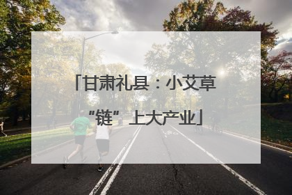 甘肃礼县：小艾草“链”上大产业