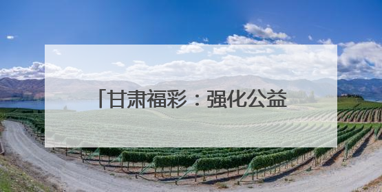 甘肃福彩：强化公益引领 重构市场生态