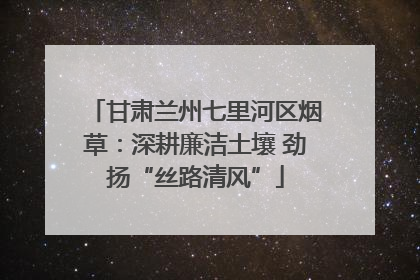 甘肃兰州七里河区烟草：深耕廉洁土壤 劲扬“丝路清风”