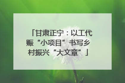 甘肃正宁：以工代赈“小项目”书写乡村振兴“大文章”