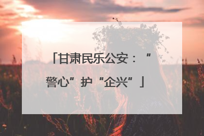 甘肃民乐公安：“警心”护“企兴”