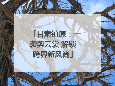 甘肃镇原：一袭剪云裳 解锁跨界新风尚