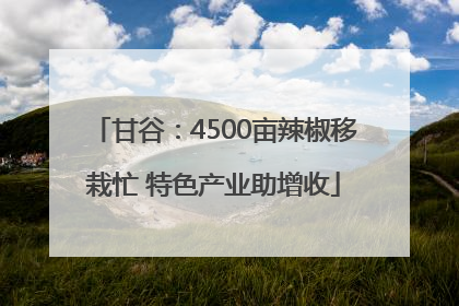 甘谷：4500亩辣椒移栽忙 特色产业助增收