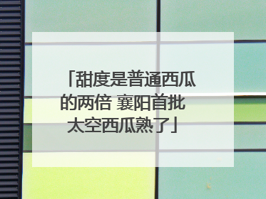 甜度是普通西瓜的两倍 襄阳首批太空西瓜熟了