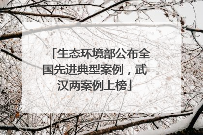 生态环境部公布全国先进典型案例，武汉两案例上榜