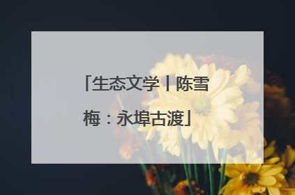 生态文学丨陈雪梅：永埠古渡