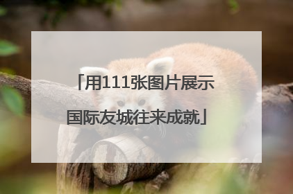 用111张图片展示国际友城往来成就