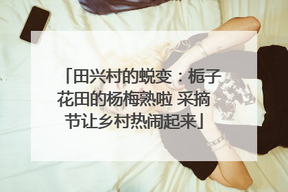 田兴村的蜕变：栀子花田的杨梅熟啦 采摘节让乡村热闹起来