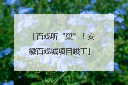 百戏听“巢”！安徽百戏城项目竣工