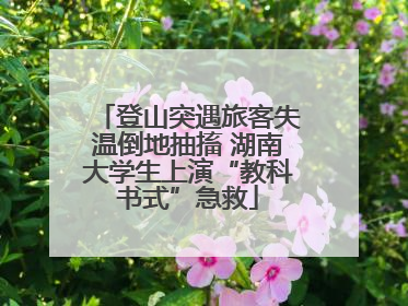 登山突遇旅客失温倒地抽搐 湖南大学生上演“教科书式”急救