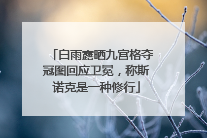 白雨露晒九宫格夺冠图回应卫冕，称斯诺克是一种修行
