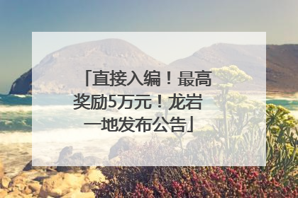 直接入编！最高奖励5万元！龙岩一地发布公告
