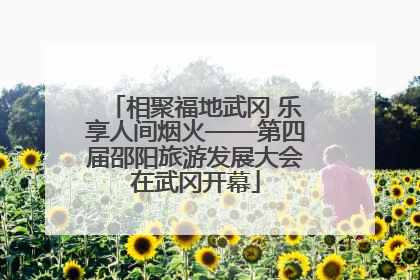 相聚福地武冈 乐享人间烟火——第四届邵阳旅游发展大会在武冈开幕