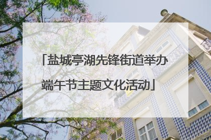 盐城亭湖先锋街道举办端午节主题文化活动
