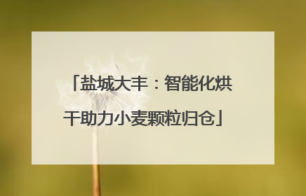 盐城大丰：智能化烘干助力小麦颗粒归仓