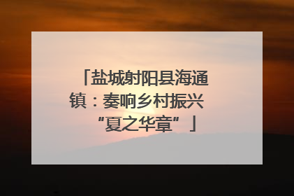 盐城射阳县海通镇：奏响乡村振兴“夏之华章”