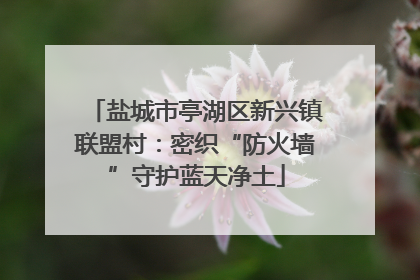 盐城市亭湖区新兴镇联盟村：密织“防火墙”守护蓝天净土