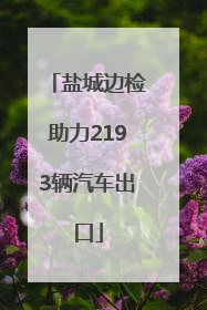 盐城边检助力2193辆汽车出口