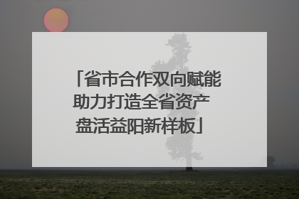 省市合作双向赋能 助力打造全省资产盘活益阳新样板