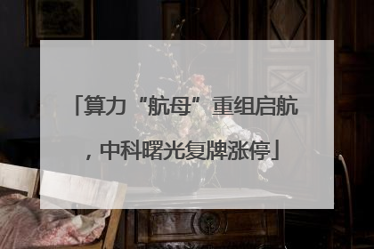 算力“航母”重组启航，中科曙光复牌涨停