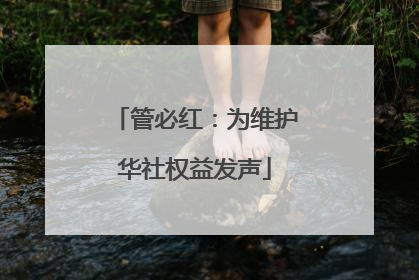 管必红：为维护华社权益发声