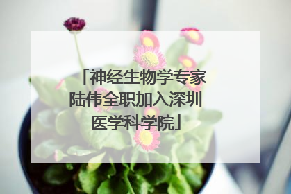 神经生物学专家陆伟全职加入深圳医学科学院