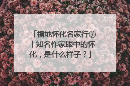 福地怀化名家行⑦丨知名作家眼中的怀化，是什么样子？