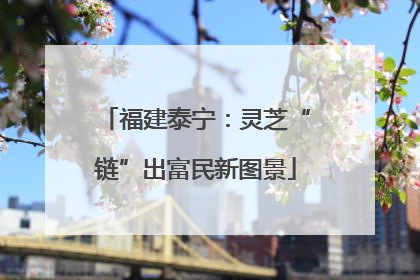 福建泰宁：灵芝“链”出富民新图景