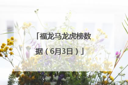 福龙马龙虎榜数据（6月3日）