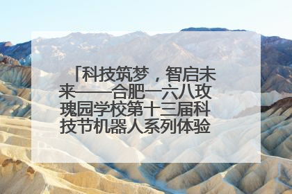 科技筑梦，智启未来——合肥一六八玫瑰园学校第十三届科技节机器人系列体验赛燃动校园